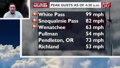 🚨WEATHER ALERT UPDATE: Dangerous wind gusts ongoing