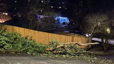 WEST SEATTLE WEATHER: Wind Advisory alert for Monday