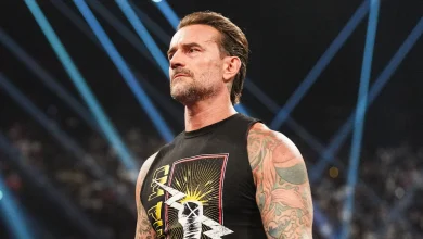 WWE Legend Suggests CM Punk Is 'Done' Based On Recent Raw Performance