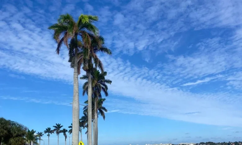 Warm weekend ahead before cold front