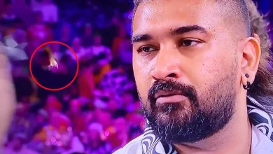 Watch moment the famous Ally Pally wasp gets hit by a DART