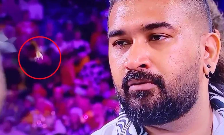 Watch moment the famous Ally Pally wasp gets hit by a DART