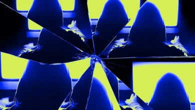 We Found Dozens of Black-Market AI Training Accounts for Sale