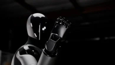 We May Not Know How Strong AI Humanoid Robots Really Are