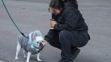 We’re feeling the 50s in South Florida. When will this cold snap end?