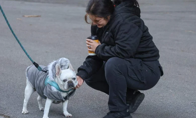 We’re feeling the 50s in South Florida. When will this cold snap end?