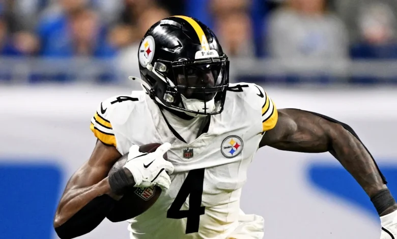 What Lions Fan Really Said to Steelers' DK Metcalf Before Fight