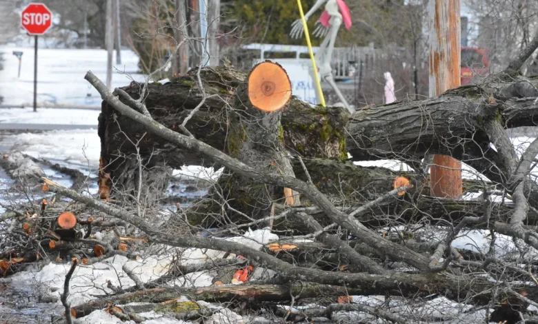 What if the power goes out? How to stay safe this winter in Michigan