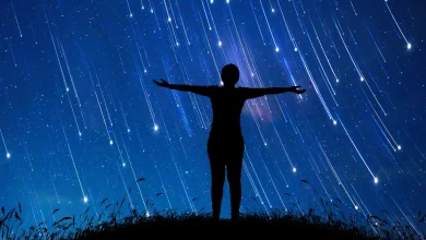 What the Year Holds For Your Zodiac Sign