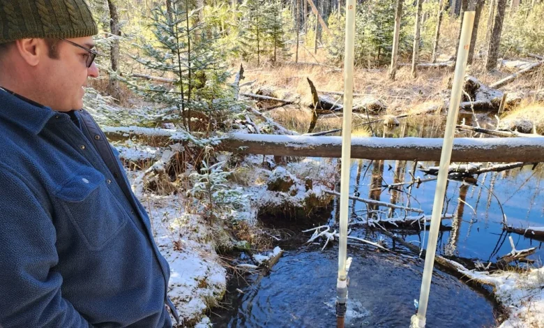 What the data show about Poland Spring's water withdrawals in Maine