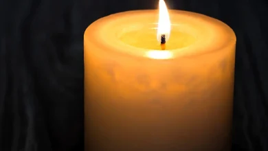 What was 'My 600-lb Life' star Pauline Potter's cause of death? Son shares details