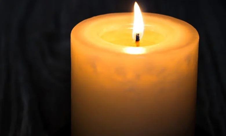 What was 'My 600-lb Life' star Pauline Potter's cause of death? Son shares details