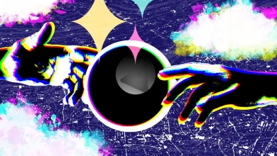 What's ahead for startups and VCs in 2026? Investors weigh in