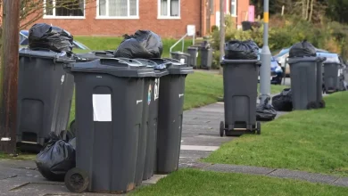 When Birmingham bins will be collected during New Year week as changes made for every household