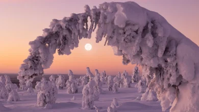 When does winter start? Your guide to the 2025 winter solstice.