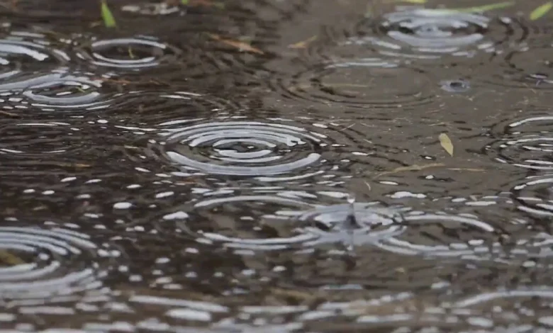 When showers move in today, breezy winds too