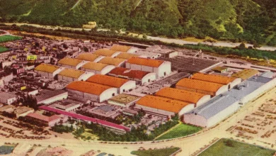 Whether Netflix or Paramount buys Warner Bros., entertainment oligopolies are back – bigger and more anticompetitive than ever