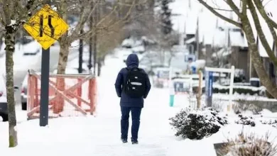 White Christmas not likely for Surrey, White Rock, Lower Mainland