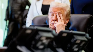 White House Insiders Reveal Chaos Behind President Donald Trump’s Humiliating Record for Failed Nominees