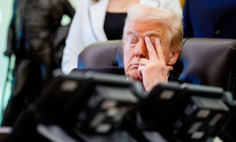 White House Insiders Reveal Chaos Behind President Donald Trump’s Humiliating Record for Failed Nominees