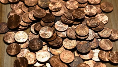 Why 696 pennies sold for more than $16.7 million
