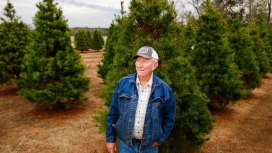 Why a Texas Christmas tree farm closed despite booming sales