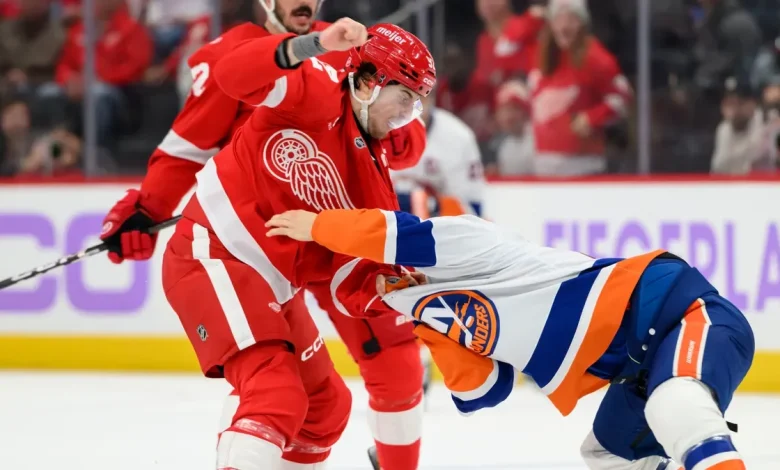 Why the Red Wings don’t have an enforcer – and don’t need one