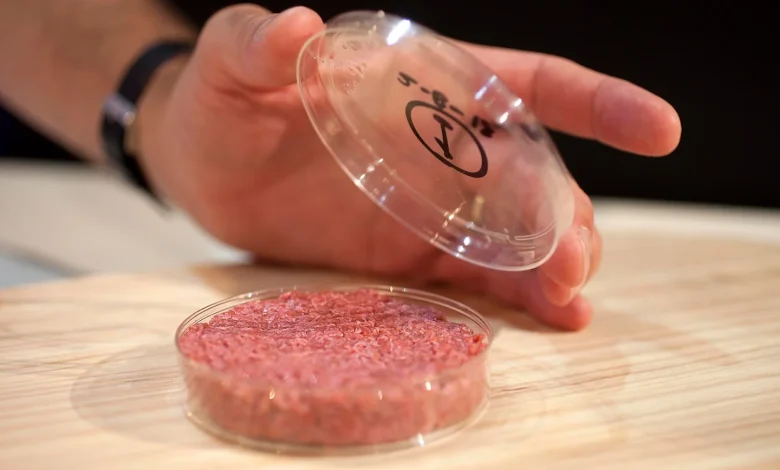 Why this vegan environmentalist thinks meat is the future