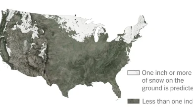 Will You Have a White Christmas in 2025?