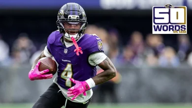 Will the Ravens or Steelers Be Left Out in the Cold?