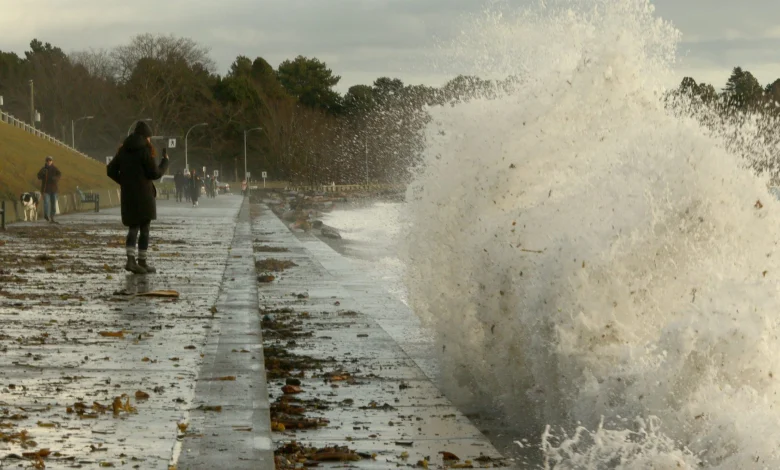 Wind warning issued for Greater Victoria