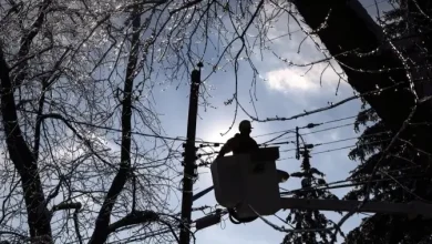 Windstorm leaves more than 90,000 BC Hydro customers without power