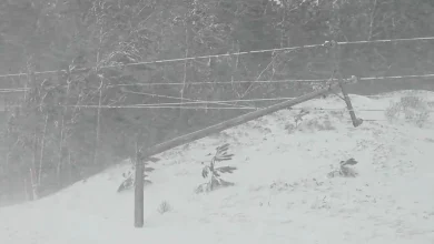 Winter Storm Ezra Blasts The Midwest: Latest News