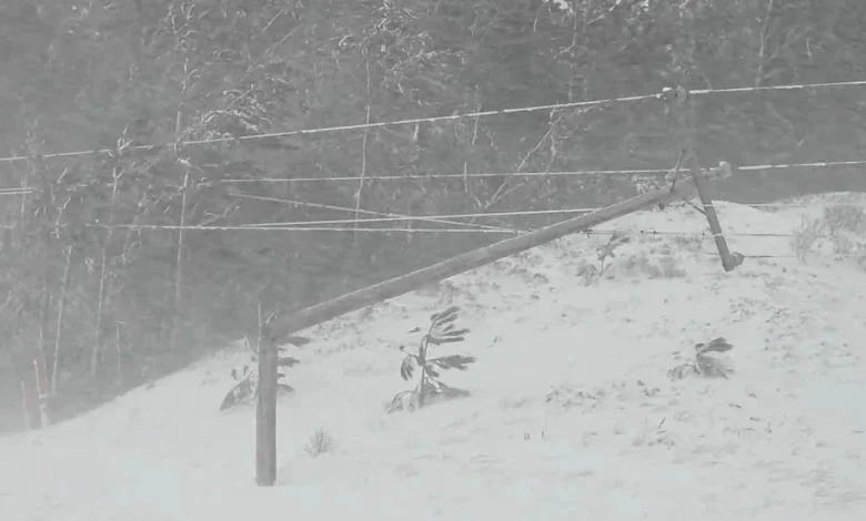 Winter Storm Ezra Blasts The Midwest: Latest News