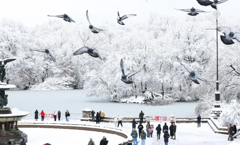Winter weather grips nation, bringing brutally cold temps and heavy rain