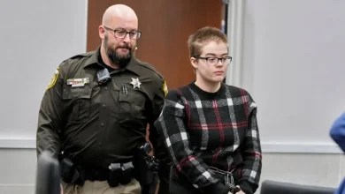 Wisconsin judge sends Slender Man attacker back to mental health institution after group home escape