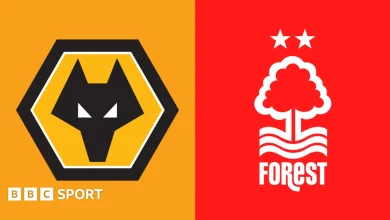 Wolverhampton Wanderers vs Nottingham Forest: Premier League preview, team news, stats & head-to-head