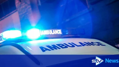 Woman, 88, fighting for life in hospital after being hit by car