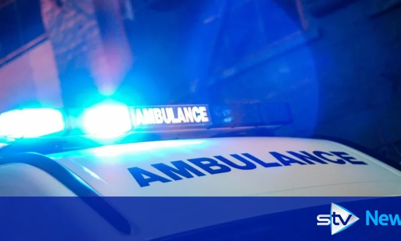 Woman, 88, fighting for life in hospital after being hit by car