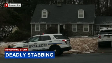 Woman accused of stabbing her daughter to death in Delaware County