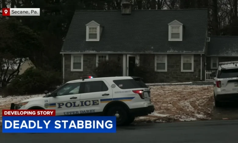 Woman accused of stabbing her daughter to death in Delaware County