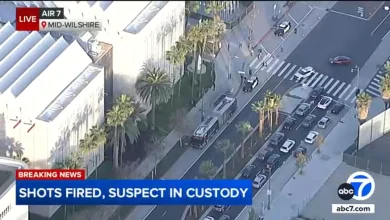 Woman in custody after allegedly firing gun into air outside the Los Angeles County Museum of Art