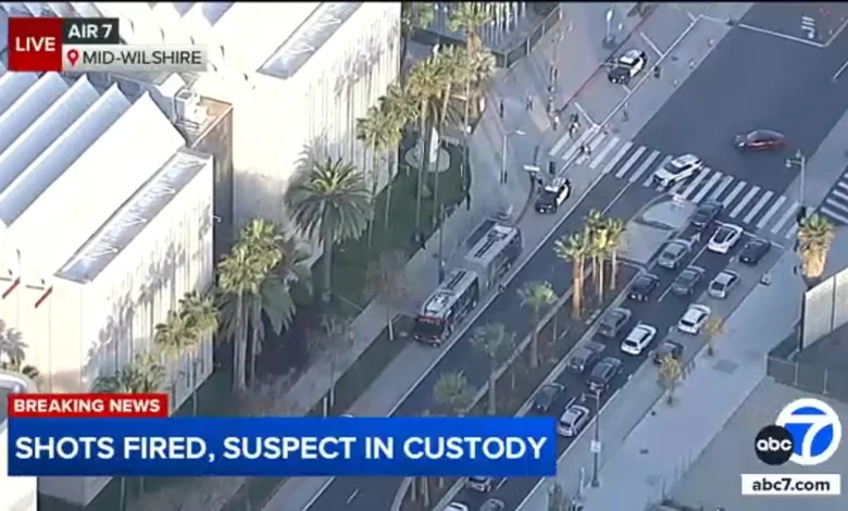 Woman in custody after allegedly firing gun into air outside the Los Angeles County Museum of Art
