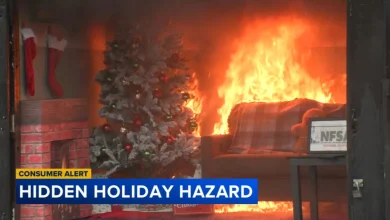 Woman who lost 6 family members in a Delaware fire warns about Christmas tree safety