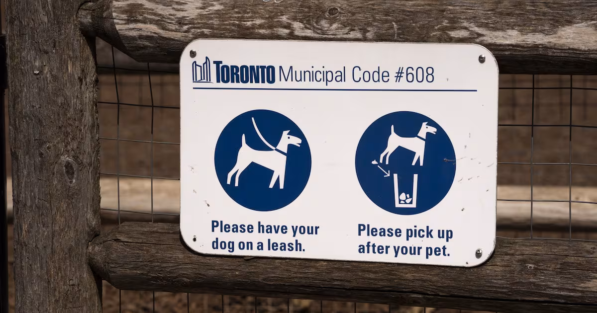 Woman whose dog attacked child in Toronto sentenced to a year in jail