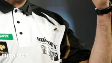 World Darts Championship 2026: Why are there so many wasps at Alexandra Palace?