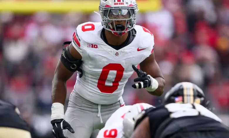 Would Sonny Styles take the Panthers defense to the next level?