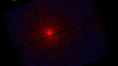 XMM-Newton sees comet 3I/ATLAS in X-ray light