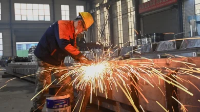 Xi Says China Set to Meet 2025 GDP Goal as Factories Rebound