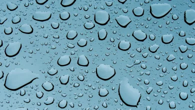 Yellow warnings for rain as unsettled weather continues